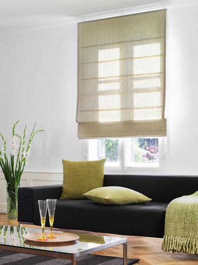 Римские шторы, SG 2320, Room shot "Private Residence", Thun, Switzerland