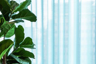 Карнизные системы , SG 5600, Colorama 1, Virgin Money, Glasgow, Scotland, United Kingdom